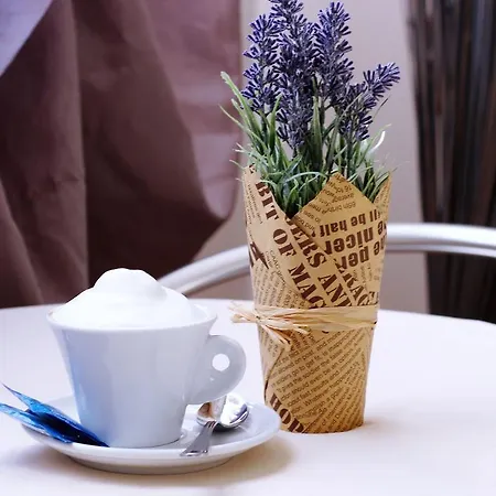 Sleep And Fly Rome Airport